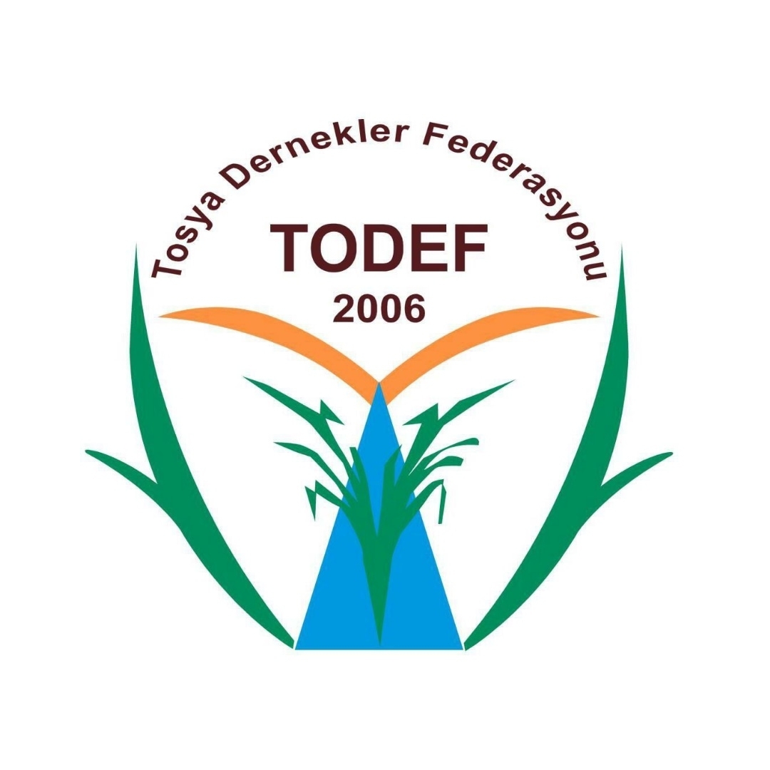 https://todef.org/Template/assets/img/todef-logo.jpg