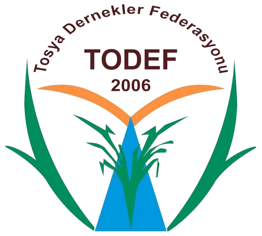 https://todef.org/Template/assets/img/todef-logo.png